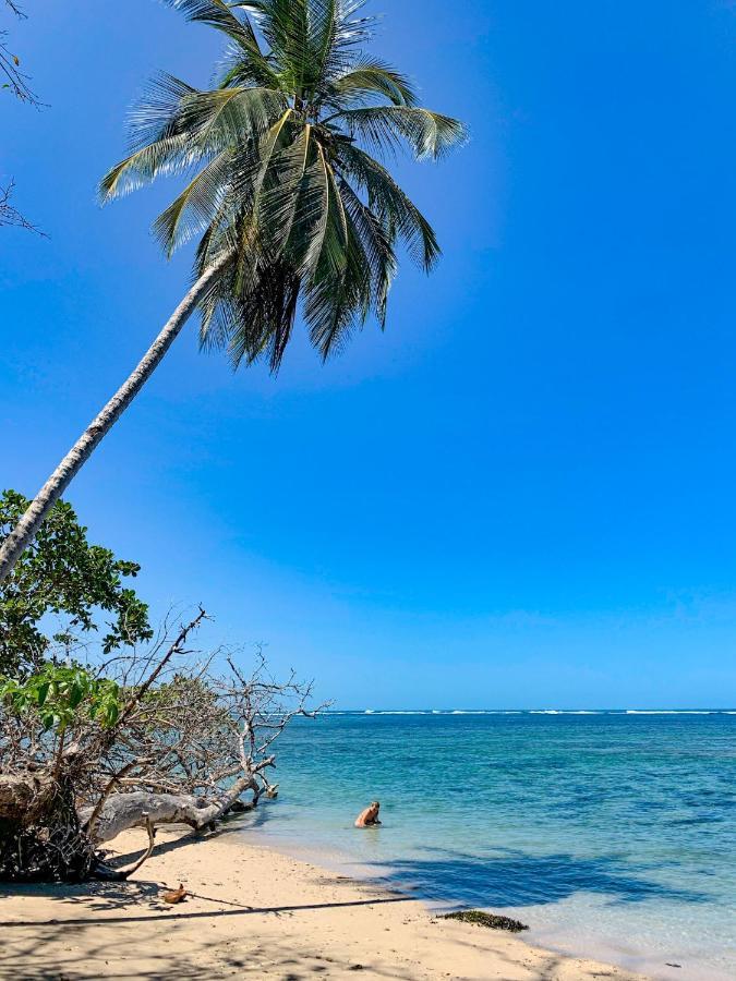 Cabinas Tito Cahuita Luaran gambar