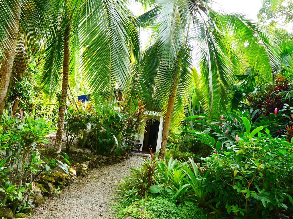 Cabinas Tito Cahuita Bilik gambar
